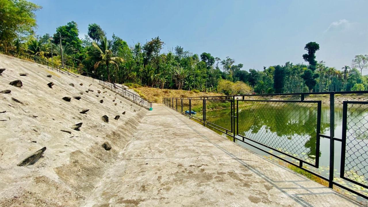 Willostays Villa Tranquil De Susanj Sakleshpur Eksteriør bilde
